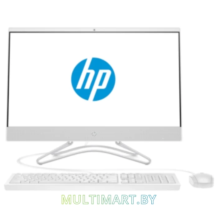 Моноблок HP 24-df0039ur 14Q10EA